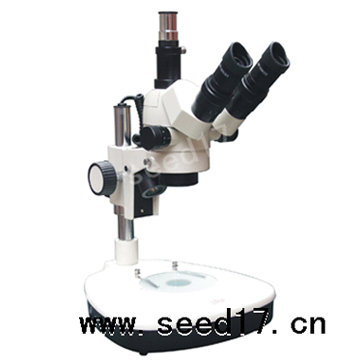 �B�m׃���wҕ�@΢�R PXS-EX