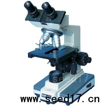 �����@΢�R XSP-6C