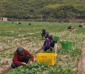 �м����^��I���o�����߲��_�l���޹�˾����