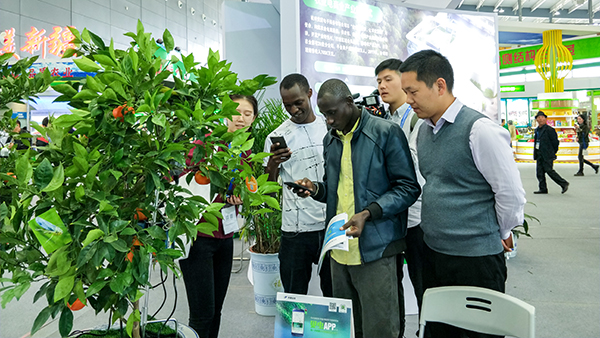 �������r(n��ng)���������ͼ��g(sh��)�ɹ����õ��ˬF(xi��n)�������L�͵��P(gu��n)ע�c�ڴ�