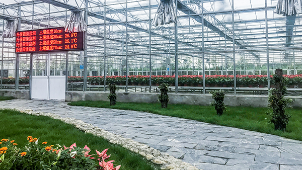 托普云農全自動托管式溫室大棚正式落成