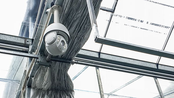 托普云農全自動托管式溫室大棚正式落成