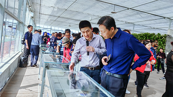 �������r(n��ng)������(j��ng)���������Ӗ(x��n)���B�������ܽK��