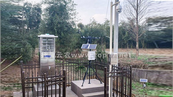 �r�I���a�h���O�y�Oʩ