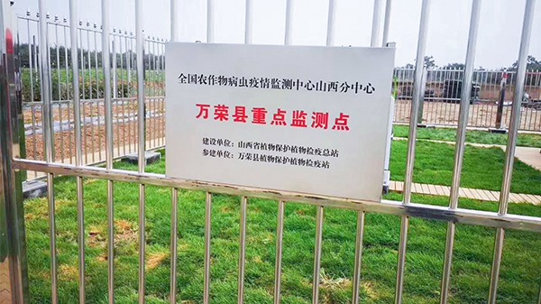 與會人員來到萬榮現(xiàn)代農(nóng)業(yè)產(chǎn)業(yè)園進行現(xiàn)場觀摩