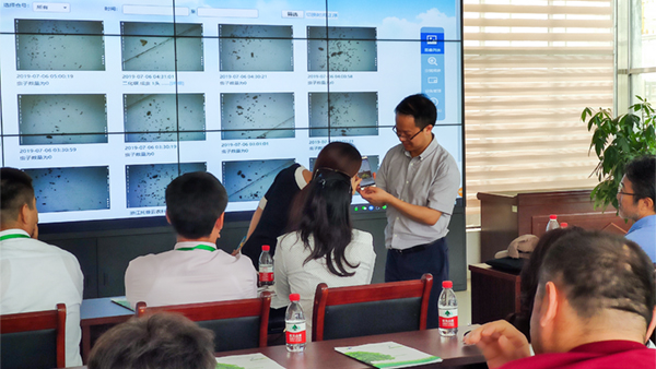 朱旭華副總經理與代表們圍繞蟲情測報深入交流