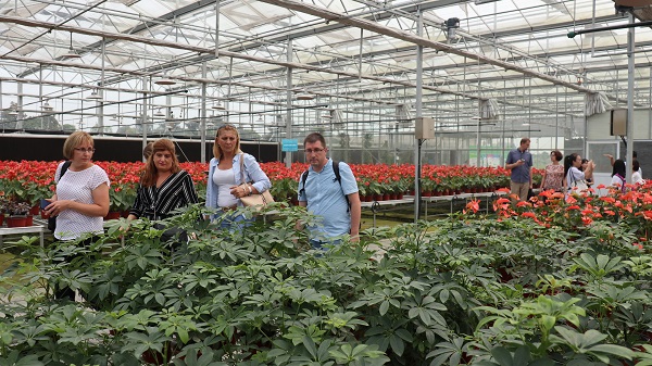 研修班一行在現(xiàn)代農(nóng)業(yè)產(chǎn)業(yè)園現(xiàn)場(chǎng)觀摩6