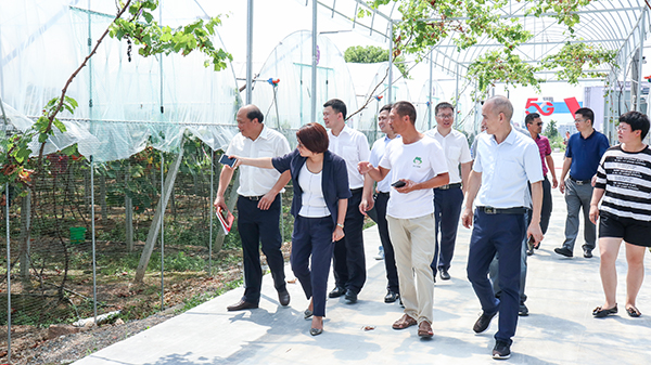 參觀大棚智能控制系統