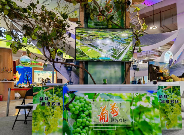 �����r��