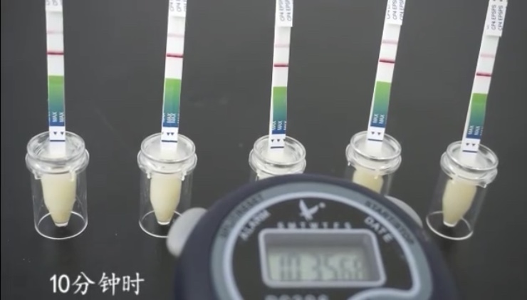 �D(zhu��n)����yԇ���z�y�ٶȿ�