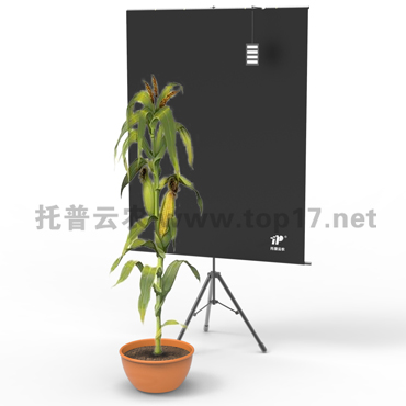 �������ͷ���ϵ�y(t��ng) TPMT-X-1