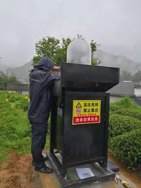 ����(w��)Ⱥ��