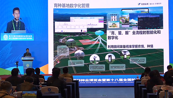 �������r�����N���ؔ��ֻ�����