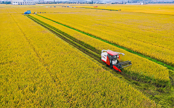 �������ִ�����r�I�Ŀ�����D