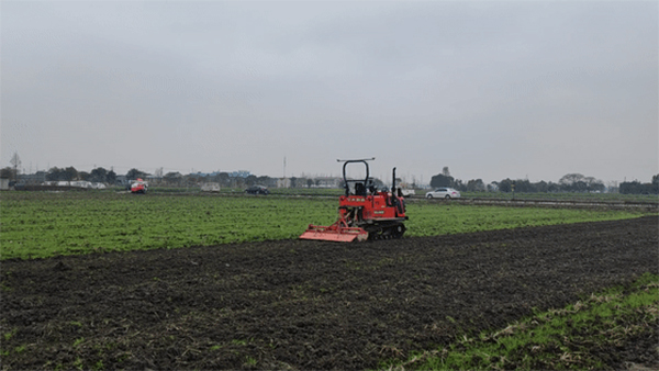 �o���r��