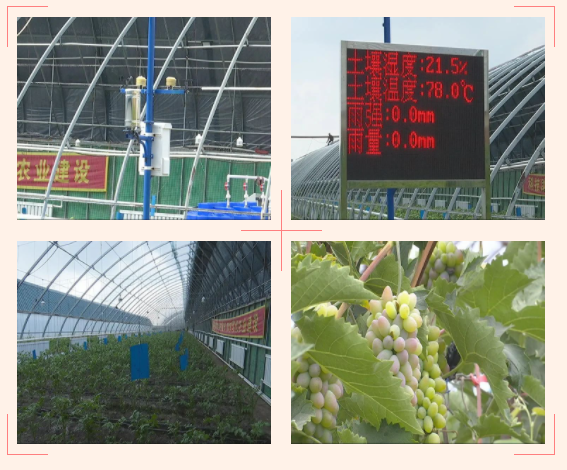 ���_�^���񲨵Ĳ�ժ�@