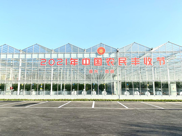 ���d�Ϻ����Č��Ї��r���S�չ�������