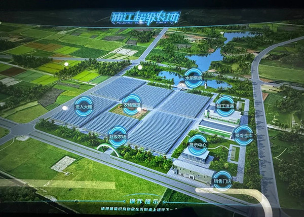 �ֽ��������r����