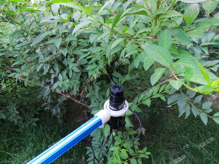 ֲ��ڌӈD������x