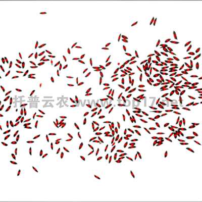 ˮ������