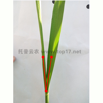 С���A�ǜy��