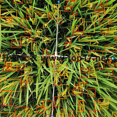 ���딵�y��