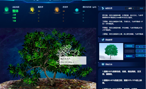 ���ơ��ϷN�w��÷�䣬�r�������B��÷