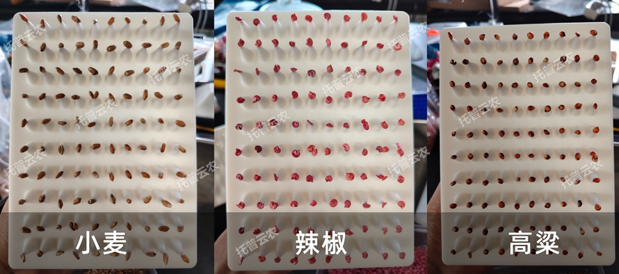 ����ô�ϵ�y