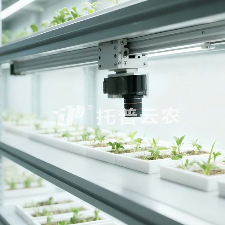 �˹������ֲ����ͱO�yϵ�y TP-PlantPhy