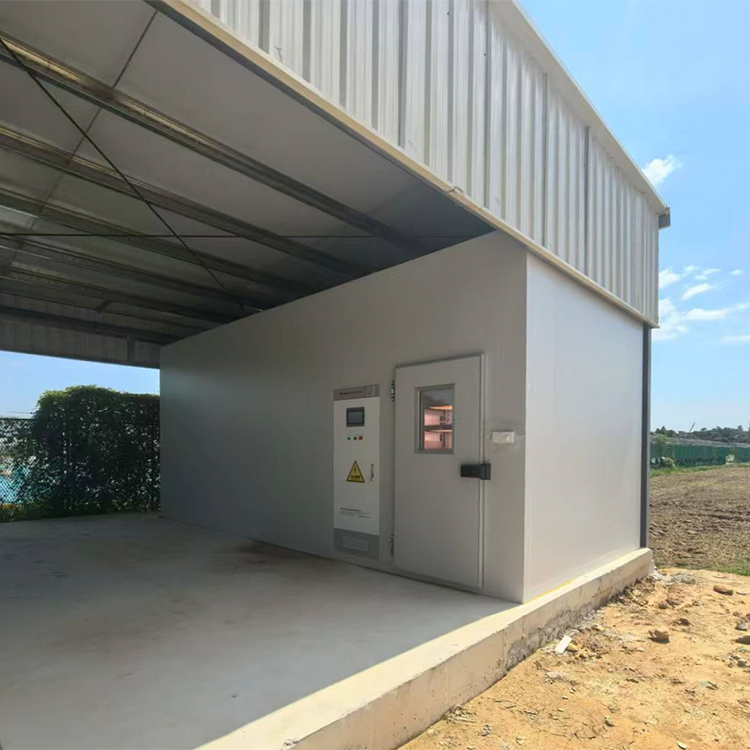 �������˹������ ����