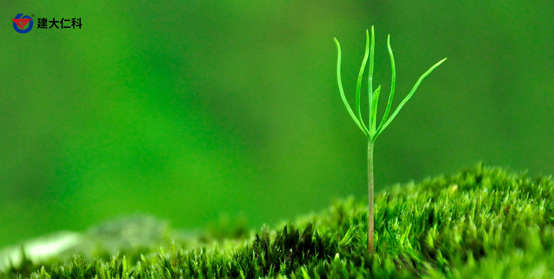 �������ּ��ٻ�